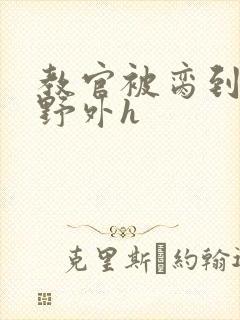 教官被脔到高潮野外h