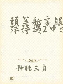 头等舱客服的特殊待遇2中字