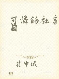 可怜的社畜东度日