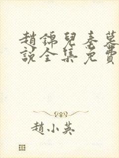 赵锦儿秦慕修小说全集免费封面