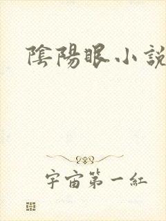 阴阳眼小说