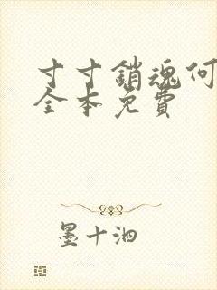 寸寸销魂何生祥全本免费