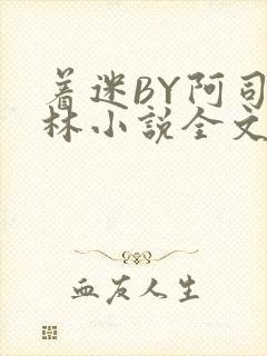 着迷BY阿司匹林小说全文免费阅读