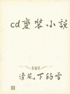 cd变装小说