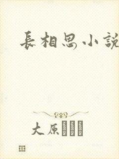 长相思小说原著