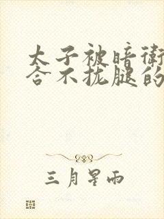 太子被暗卫c到合不拢腿的后果