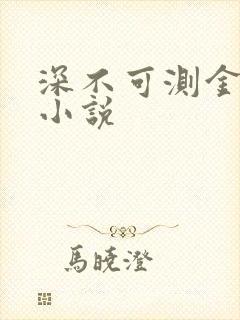 深不可测金银花小说封面