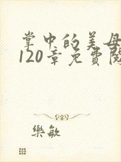 掌中的美母版主120章免费阅读