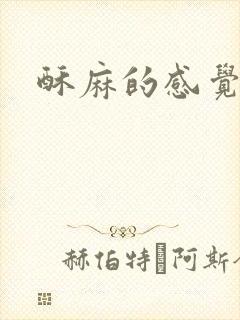 酥麻的感觉小说