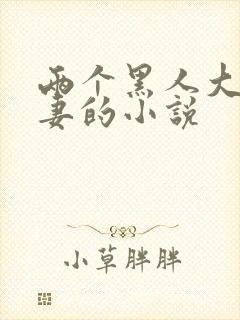 两个黑人大战娇妻的小说封面