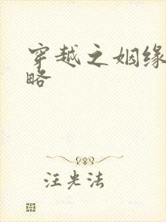 穿越之姻缘劫攻略封面