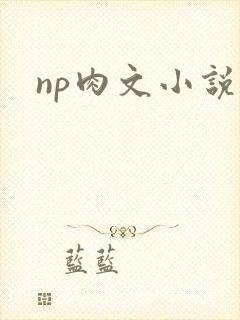 np肉文小说