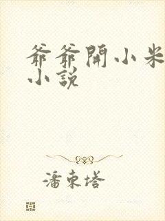 爷爷开小米的包小说