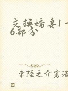 交换娇妻1一36部分