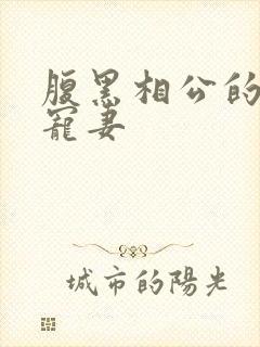 腹黑相公的庶女宠妻