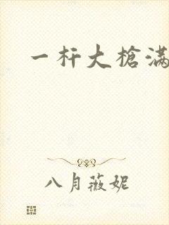 一杆大枪满屋扫封面