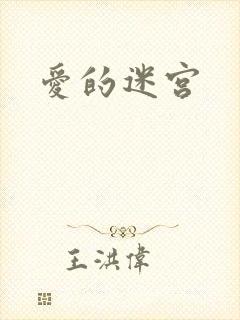 爱的迷宫