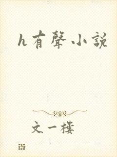 h有声小说
