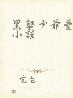 黑帮少爷爱上我小说封面