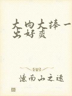 大肉大捧一进一出好爽封面