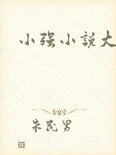 小强小说大全封面