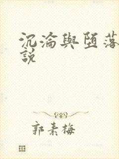 沉沦与堕落的小说封面