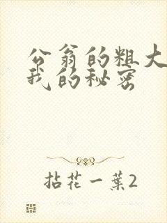 公翁的粗大放进我的秘密