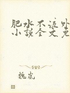 肥水不流外人田小说全文免费阅读1