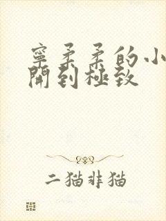 宁柔柔的小泬撑开到极致