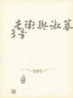 老卫与淑蓉第13章封面