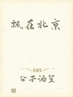 飘在北京