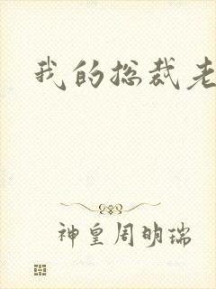 我的总裁老妈封面