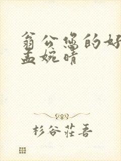 翁公您的好长呀孟婉晴封面