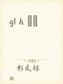 gl h С˵封面