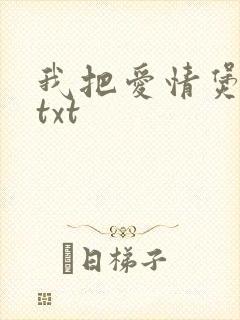 我把爱情煲成汤txt