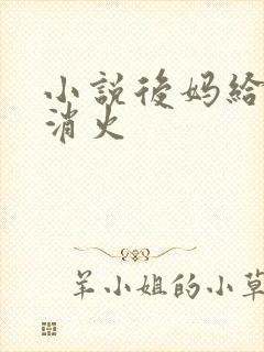 小说后妈给我消消火