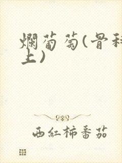 烂葡萄(骨科年上)