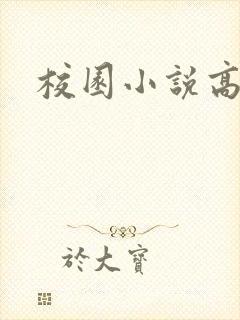 校园小说高h封面