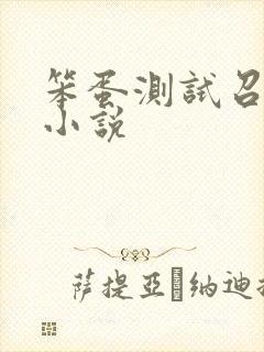 笨蛋测试召唤兽小说