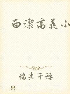 白洁高义小说封面