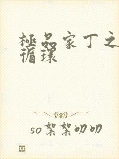 极品家丁之因果循环封面