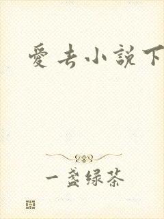 爱去小说下载网