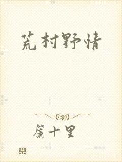 荒村野情封面