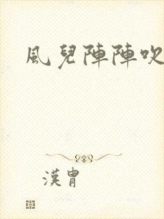 风儿阵阵吹封面