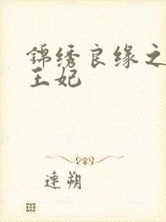 锦绣良缘之北地王妃