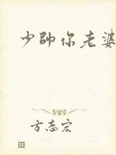 少帅你老婆