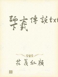 师士传说txt下载封面