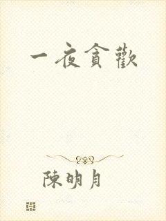 一夜贪欢