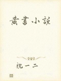 黄书小说