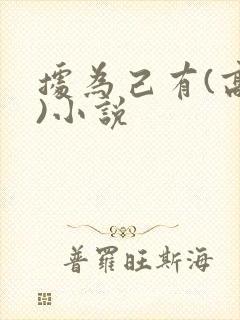 据为己有(高干)小说封面